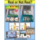 Is it REAL or NOT REAL Task Cards TASK BOX FILLER